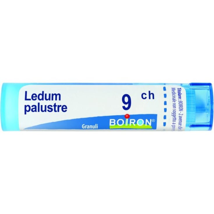 BOIRON LEDUM PALUSTRE BOI*9CH GR 4G - maxifarmacia.it