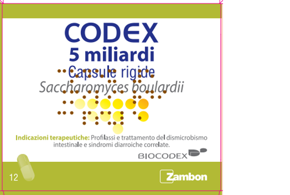 CODEX*12CPS 5MLD 250MG - maxifarmacia.it