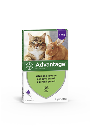 ADVANTAGE*4PIP 0,8ML SPOTON - maxifarmacia.it