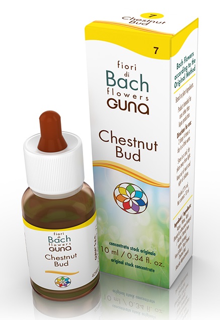CHESTNUT BUD GOCCE 10 ML - maxifarmacia.it