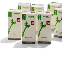 AGNOCASTO MACERATO GLICERICO 200 ML - maxifarmacia.it