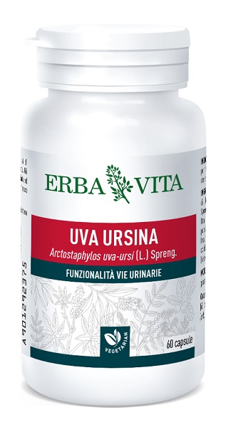 UVA URSINA 60 CAPSULE - maxifarmacia.it