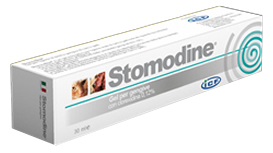 STOMODINE GEL GENGIVALE CANI 30 ML - maxifarmacia.it