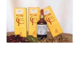 SORBO GEMME 100ML MG - maxifarmacia.it