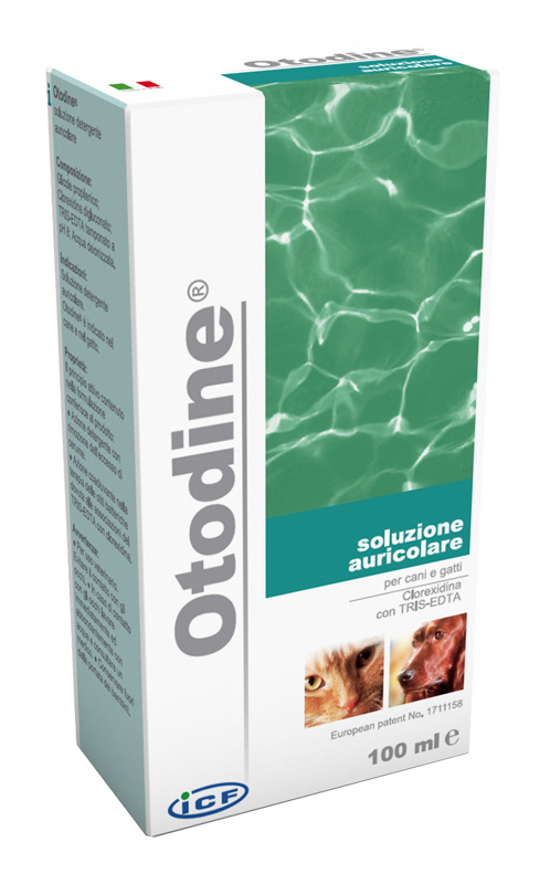 OTODINE DETERGENTE LIQUIDO 100 ML - maxifarmacia.it