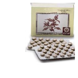CIMICIFUGA 50 TAVOLETTE 500 MG - maxifarmacia.it