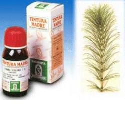 EQUISETO 12 50ML TM - maxifarmacia.it