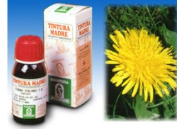 TARASSACO 28 50ML TM - maxifarmacia.it