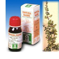 UVA URSINA 30 50ML TM - maxifarmacia.it