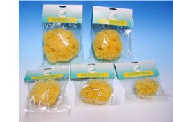 NATURA PURA SPUGNA NATURALE 14 BUSTE - maxifarmacia.it