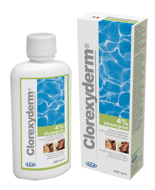 CLOREXYDERM SHAMPOO 4% 250 ML - maxifarmacia.it