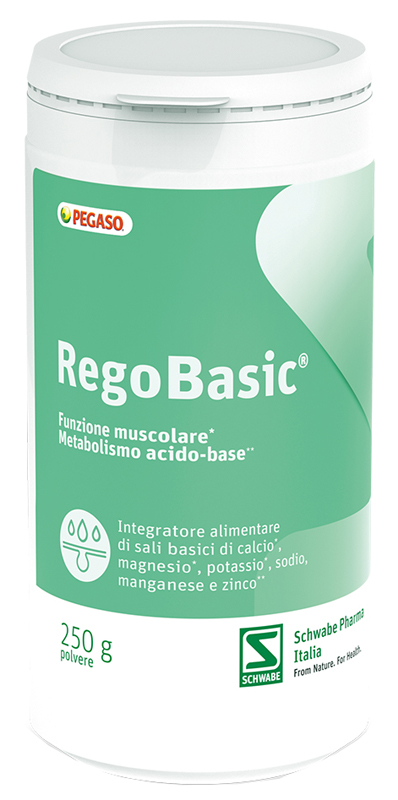 REGOBASIC POLVERE 250 G - maxifarmacia.it