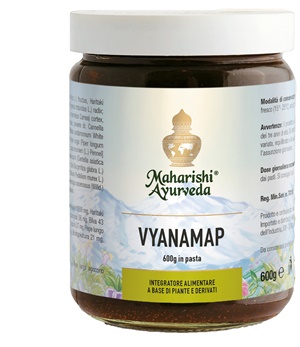 VYANAMAP PASTA 600 G - maxifarmacia.it