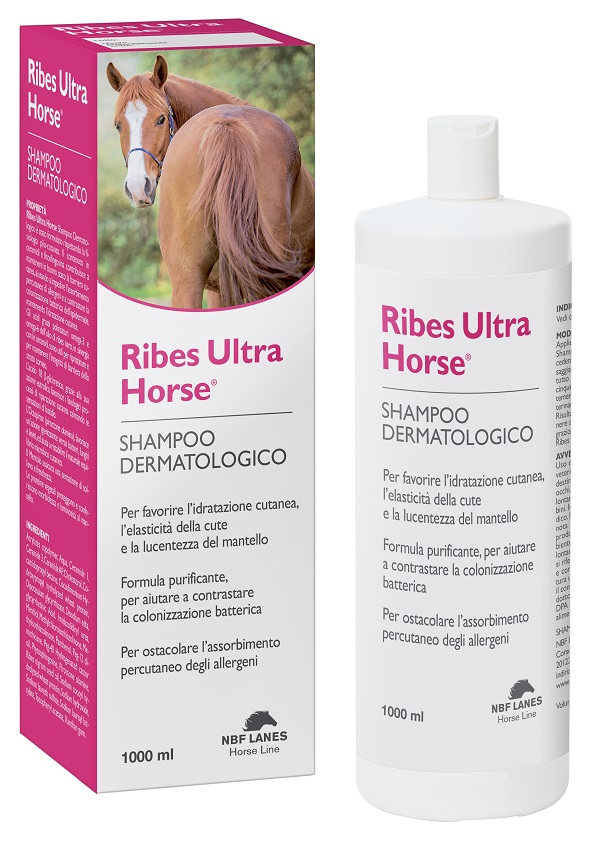 RIBES HORSE ULTRA SHAMPOO DERMATOLOGICO 1 LITRO - maxifarmacia.it
