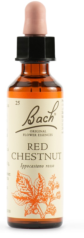 RED CHESTNUT BACH ORIG 20 ML - maxifarmacia.it