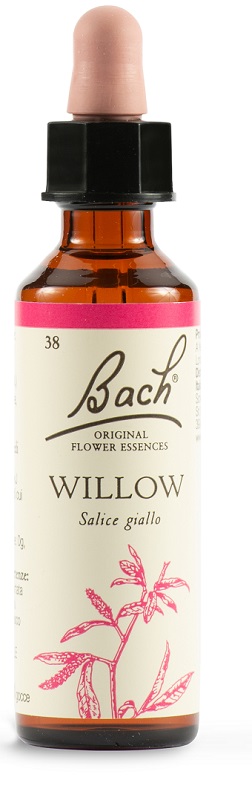 WILLOW BACH ORIG 20 ML - maxifarmacia.it