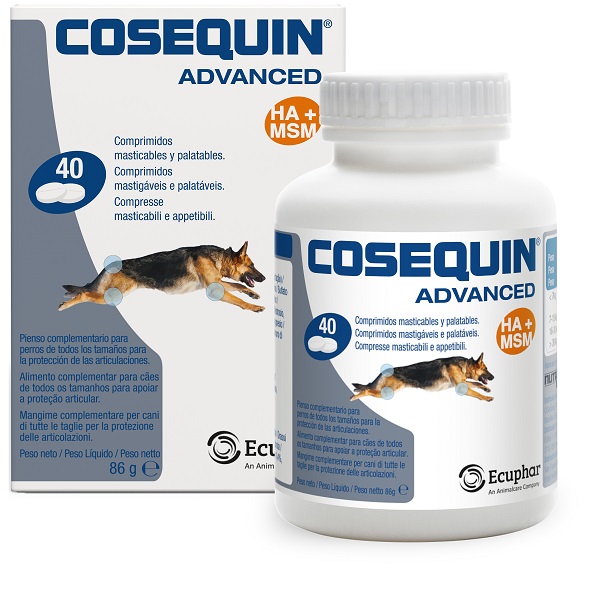 COSEQUIN GATTI 15 CAPSULE - maxifarmacia.it