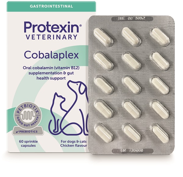 COBALAPLEX 60 CAPSULE - maxifarmacia.it