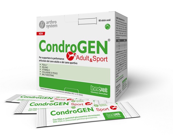 CONDROGEN ADULT&SPORT 60 STICK - maxifarmacia.it