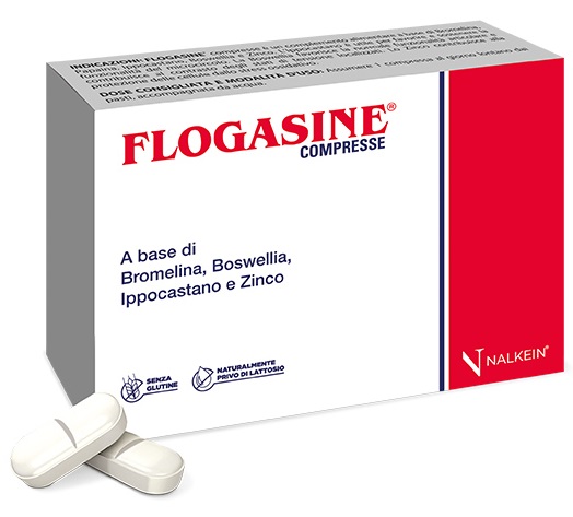 FLOGASINE 20 COMPRESSE - maxifarmacia.it