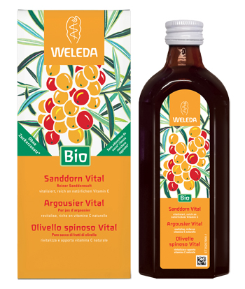OLIVELLO SPINOSO VITAL SUCCO DI FRUTTA 250 ML - maxifarmacia.it