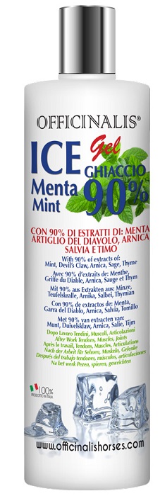 ICE GEL 90% 250 ML - maxifarmacia.it