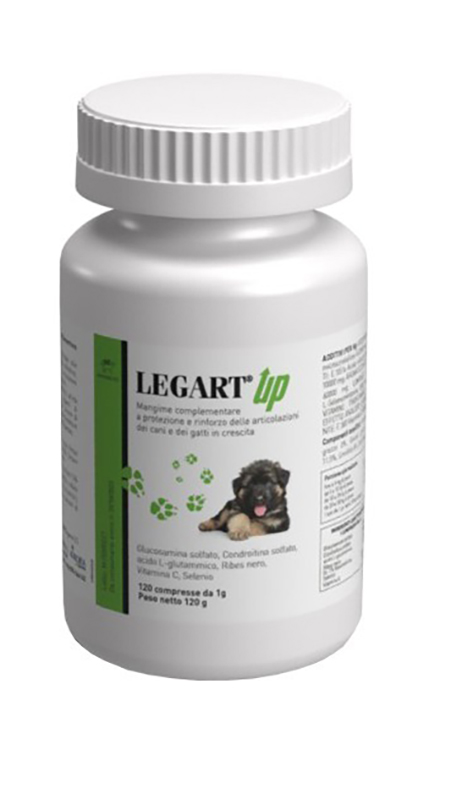 LEGART UP 120 COMPRESSE - maxifarmacia.it