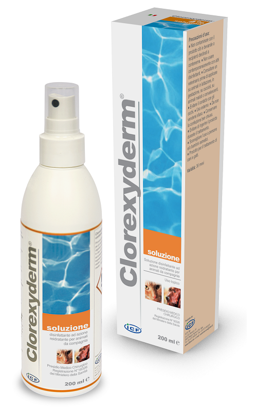 CLOREXYDERM SOLUZIONE 200 ML - maxifarmacia.it