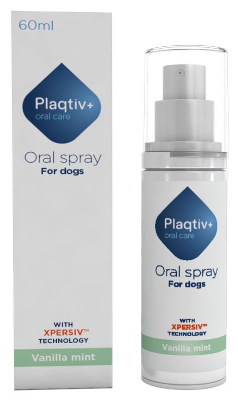 PLAQTIV+ ORAL CARE SPRAY ORALE 60 ML - maxifarmacia.it