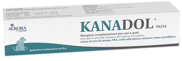 KANADOL PASTA 30 G - maxifarmacia.it