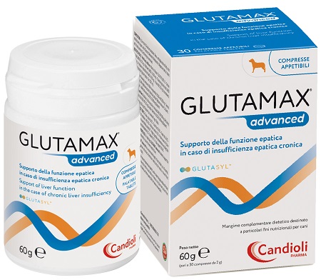 GLUTAMAX ADVANCED 30 COMPRESSE - maxifarmacia.it
