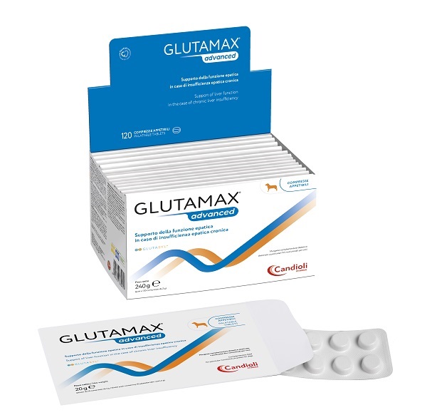 GLUTAMAX ADVANCED 120 COMPRESSE APPETIBILI DA 2 G - maxifarmacia.it