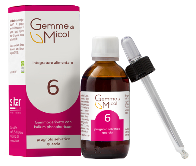 GEMME DI MICOL SOLUZIONE IDROGLICERALCOLICA 6 30 ML - maxifarmacia.it