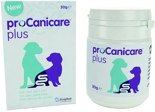 PROCANICARE PLUS 30 G - maxifarmacia.it