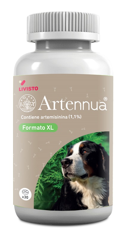 ARTENNUA XL 30 COMPRESSE - maxifarmacia.it